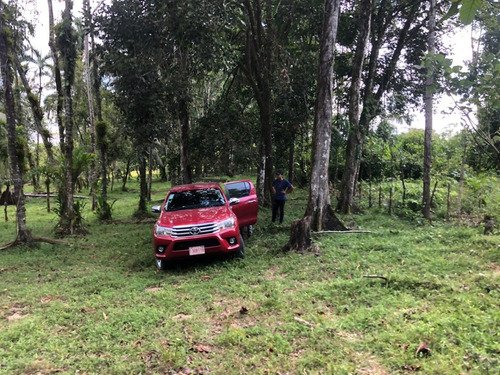 Imagen 2 de 7 de Finca 28.000 M2, Rio Jiménez, Guácimo, Limón. Con Todos Los Servicios