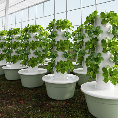 Hydroponics Growing System Kit Kit De Germinación Verde M