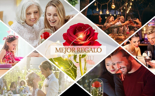 Carcasa Flor Eterna Rojo Rosa Regalos Para Ella
