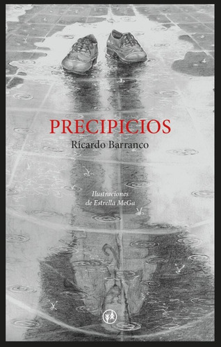 Libro Precipicios - Ricardo Barranco