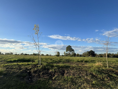 Venta Terreno Fase 3 En Olivos De Los Horneros