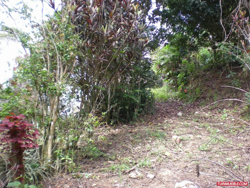 Imagen 10 de 12 de Venta De Terreno En San Jose De Los Altos Edo Miranda Rzxx