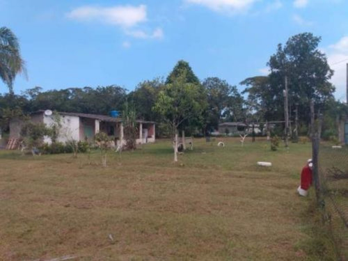Imagem 11 de 15 de Chácara Em Itanhaém, No Bairro Jardim Coronel, Com 10.200 M² De Área Total Ref: 7240/ac