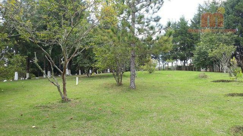 Imagem 10 de 19 de Chácara Com 3 Dormitórios À Venda, 24000 M² Por R$ 1.400.000,00 - Paruru - Ibiúna/sp - Ch0124