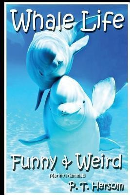 Whale Life Funny & Weird Marine Mammals : Learn With Amaz...