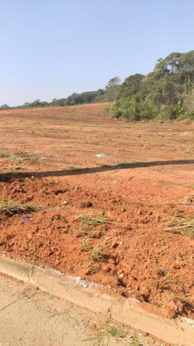 Imagem 8 de 10 de Área Industrial Para Venda Em Fazenda Rio Grande, Estados - 32953_2-1074924