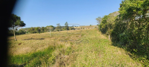 Imagem 13 de 15 de Sitio - Coqueiros - Ref: 26160 - V-26160