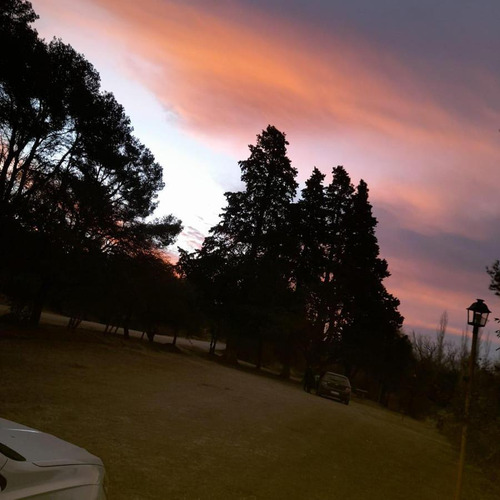 Venta De 20 Hectáreas Sobre Ruta En Tala Cañada...ref 1557