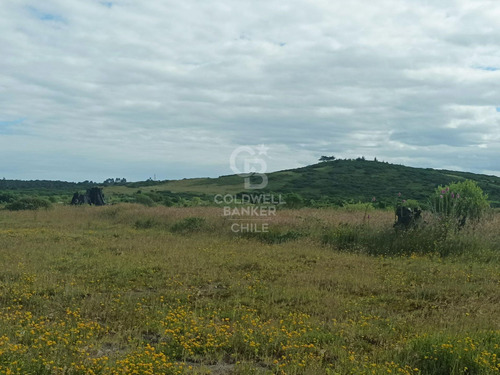 A Orilla De Carretera, Área Turística, Industrial.