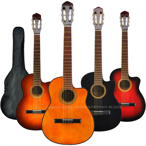 Guitarra acústica GP GP Premium