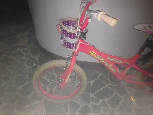 Bicicleta Niña Ring 16 (Usado)