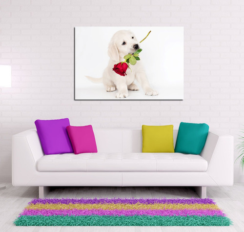 Cuadro Canvas Perro Labrador Rosa Romantico Love Puppy Pet