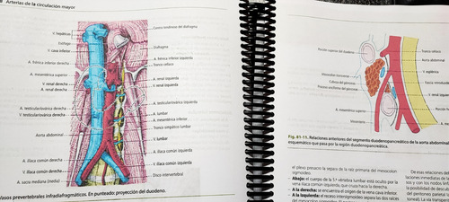 Anatomía Humana Latarjet 5 Edición Tomo 1 Y 2 Full Color A4