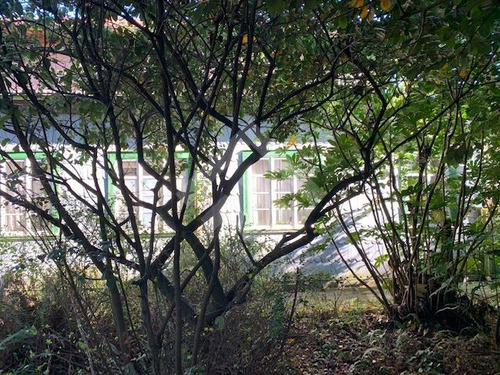 Sitio Urbano En Venta En Puerto Varas