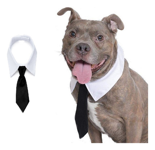 Colarinho Black Tie Gravata Social Pet Cão Gato Cachorro Pre Cor Preto