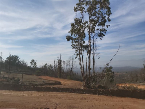 Parcelas 5.000m2 Con Luz Y Agua En El Belloto Norte Quilpue