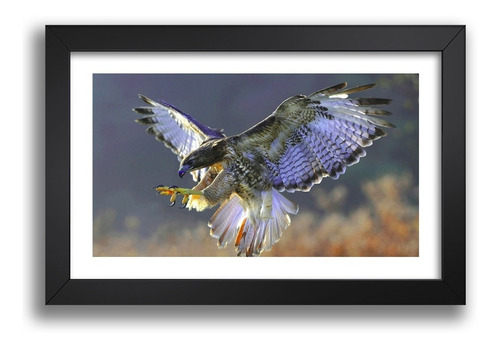 Imagem 1 de 6 de Quadro Aguia Aves Moldura Passaros Decoracao Sala Esc Kv 192