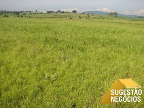 Imagem 8 de 15 de Fazenda Produtiva Região De Sorocaba Oportunidade - 2794