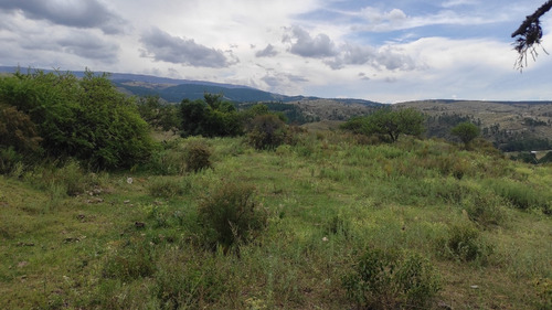 Imagen 10 de 15 de Campo A La Venta En Potrero De Garay Con 200 Mts De Costa Al Río Los Espinillos De 17 Ha.