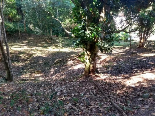 Imagem 10 de 21 de Terreno Em Várzea Das Moças, São Gonçalo/rj De 337m² À Venda Por R$ 66.000,00 - Te666691-s