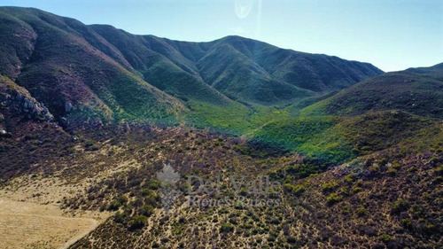 Imagen 5 de 7 de 10 A 40 Ha A Un Costado De La Cetto En Valle De Guadalupe