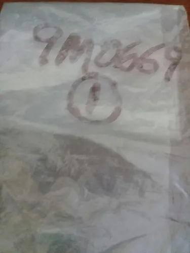 Espiga O Cuñas 9m0669