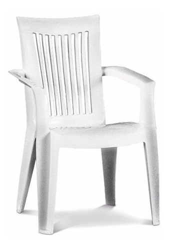 Silla Sillón De Plastico Pvc Para Jardín O Terrazas. Hermoso