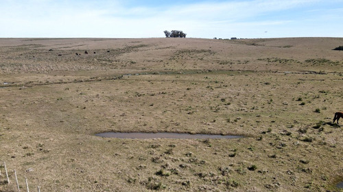 Venta Campo Garzon