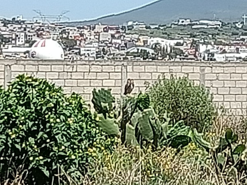Imagen 3 de 17 de Terreno En Venta Pachuca