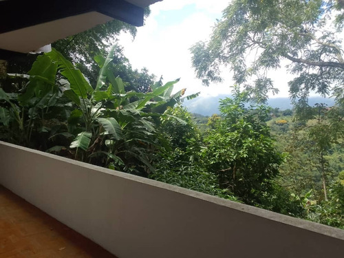 Imagen 6 de 13 de De Oportunidad Venta Hermosa Quinta En Karimao Country