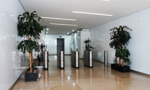 Renta Oficina En Colonia Los Alpes