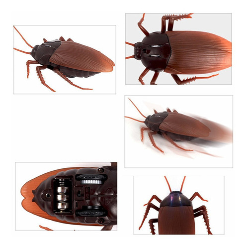 Simulación Araña Hormigas Cucarachas Juguete Eléctrico Rc To