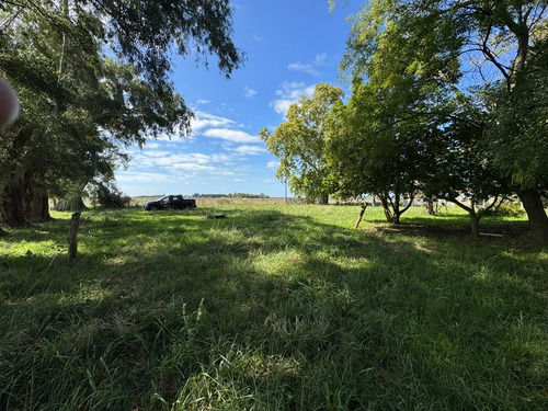 Campo De 30 Hectáreas Con Múltiples Edificaciones Y Uso Mixto