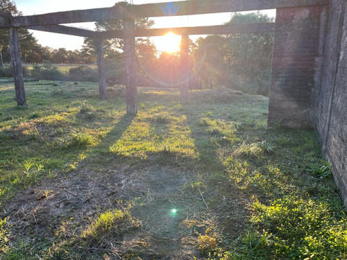 Espectacular Terreno En Altura Con Vista A Parque Del Golf, Lindero A Proyecto Termal