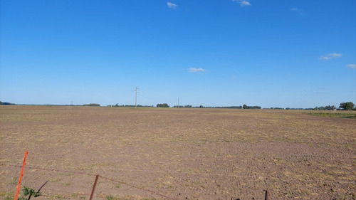 Imagen 2 de 13 de Campo Mixto De 94 Ha En Saladillo