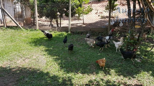 Imagem 10 de 29 de Chácaras À Venda Em Jarinú/sp - Compre O Seu Chácaras Aqui! - 1339806