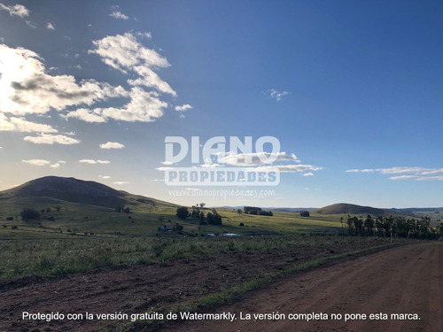 Imagen 11 de 13 de Oportunidad - Chacra En Minas - Financiación
