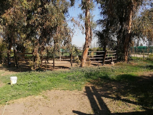 Casa En Venta De 4 Dorm. En Colina