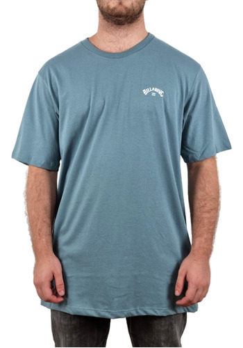 Camiseta Billabong Small Arch