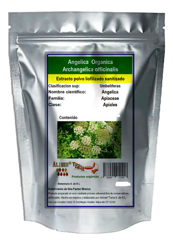 Raíz De Angelica En Polvo 1kg