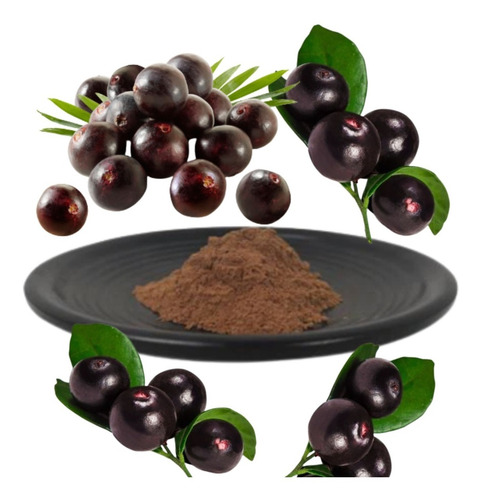 Acai Berry En Polvo Pura (con Registro Sanitario) 500 Gramos