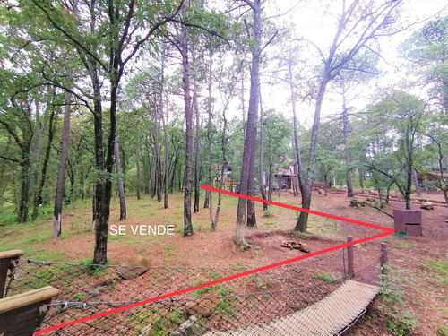 Imagen 4 de 12 de Terreno Huasca De Ocampo 2500 M2 Junto A Cabañas Pinochueco