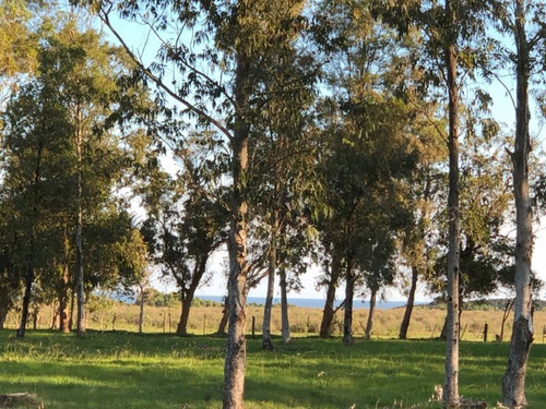 Casa En Venta De 4 Dormitorios En Polo Punta Del Este