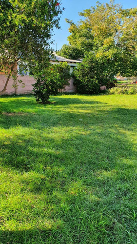 Casa Quinta En Venta, Brandsen