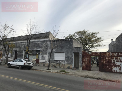 Imagen 4 de 12 de Local - Colonia Del Sacramento