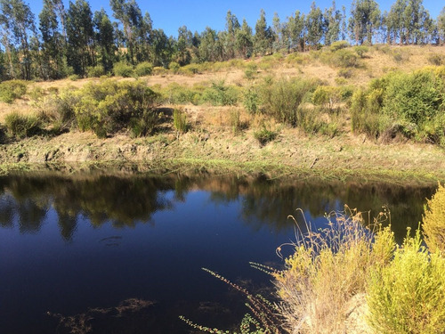 Imagen 17 de 23 de Campo En Cauquenes, Tres Estanques Acumuladores, 97 Has