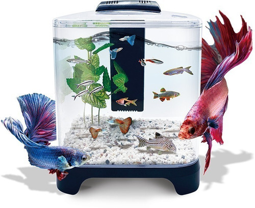 Imagen 1 de 10 de Acuario Mini De 6 Litros Pecera Betta