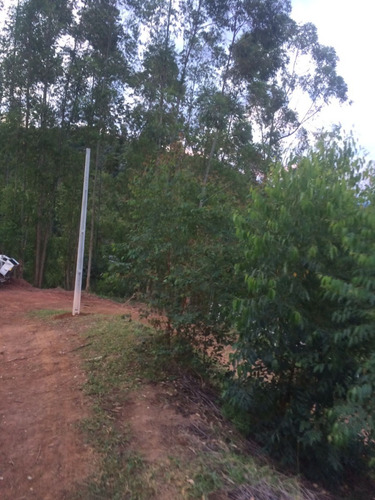 Imagem 3 de 10 de Pj* Os Lote Com Preço Especial Em Igaratá