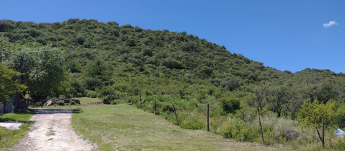 Imagen 29 de 30 de Venta Campo 102 Hectareas V.g.b Oportunidada!!!