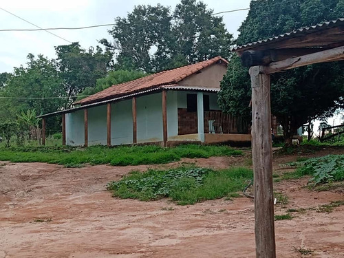 Imagem 24 de 30 de 14 Alqueires Região Angatuba Sp Com Casa Simples Bão Água Luz, Ótima Localização, 10 Km Angatuba Por Estrada Cascalhada Oportunidade... - St00037 - 68969916